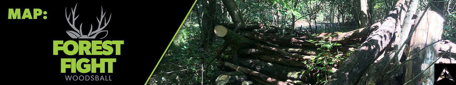COLUMBUS-paintball-woods